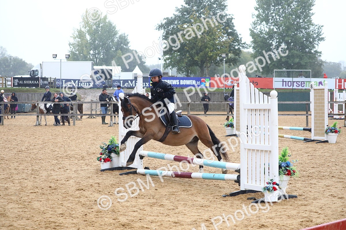 SBM_71749 - J4 - Mini Tour Junior Pony 45cm Championship