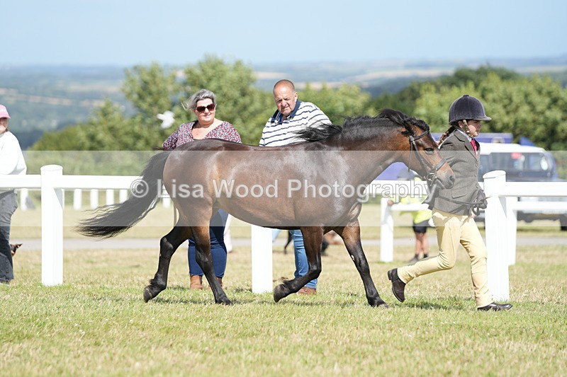 DSC07594 - Class 62: Child Handler