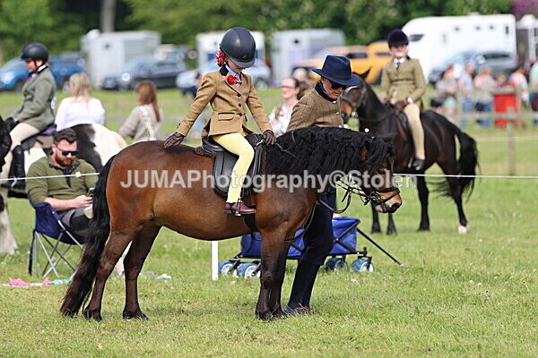 IMG_2283 - Working Hunter