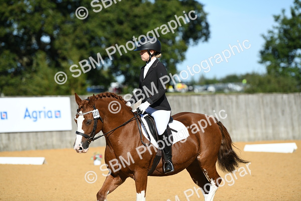 SBM_18026 - D4 - Small Tour Championship - Intro B