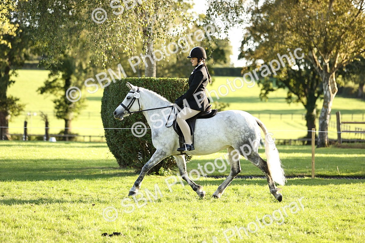 SBM_29609 - S7 - Novice & Newcomers Ridden Pony