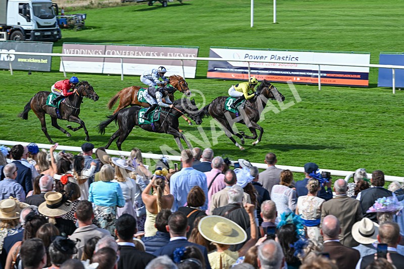 050926-Race 2-This Moment-2794 - Race 2 2.05pm JW4X4 Northallerton Nursery Handicap