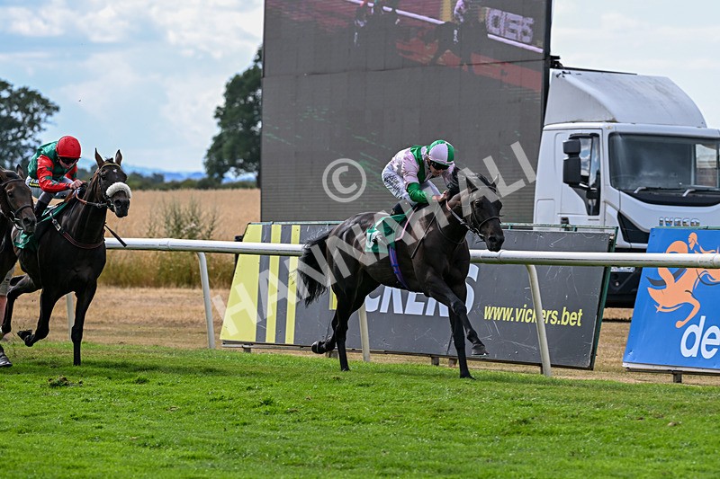 010826-Race 6-La Peregrina-3332 - Race 6 16.22pm Vision PVC Carlton Miniott Thirsk Handicap