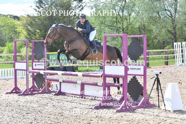 BPP_4773 - CLASS 14  SAT Senior British Novice/ 90cm Open