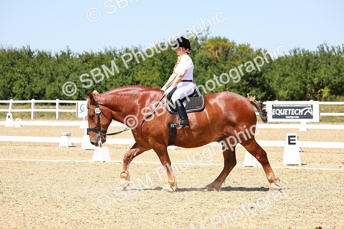 SBM_011814 - Intro 3 - 13.00-14.10