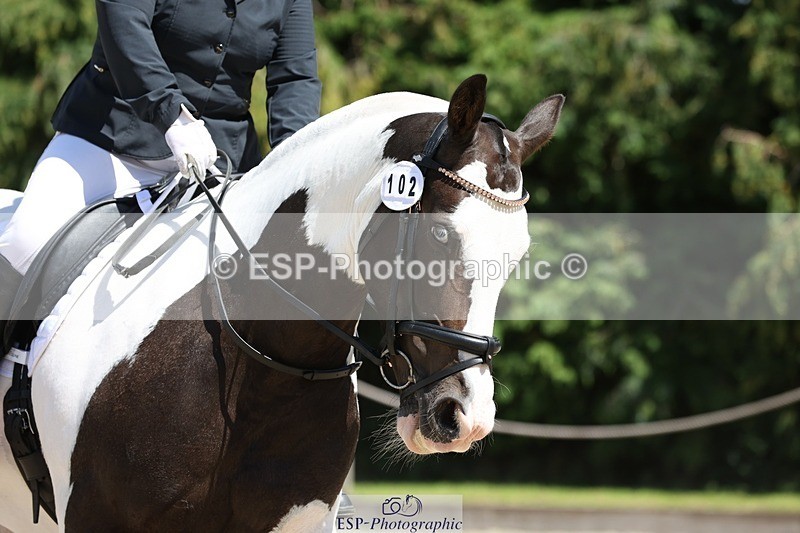 230811-135521-01923 - Cls 1 Prelim Bronze 13.30 to 14.50 break