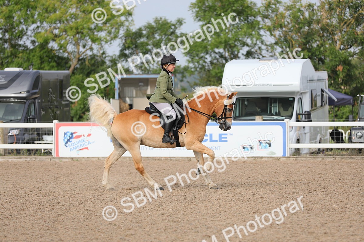 SBM_10671 - Class 303 Ridden Pure Bred Horse/Pony (excl M&M)