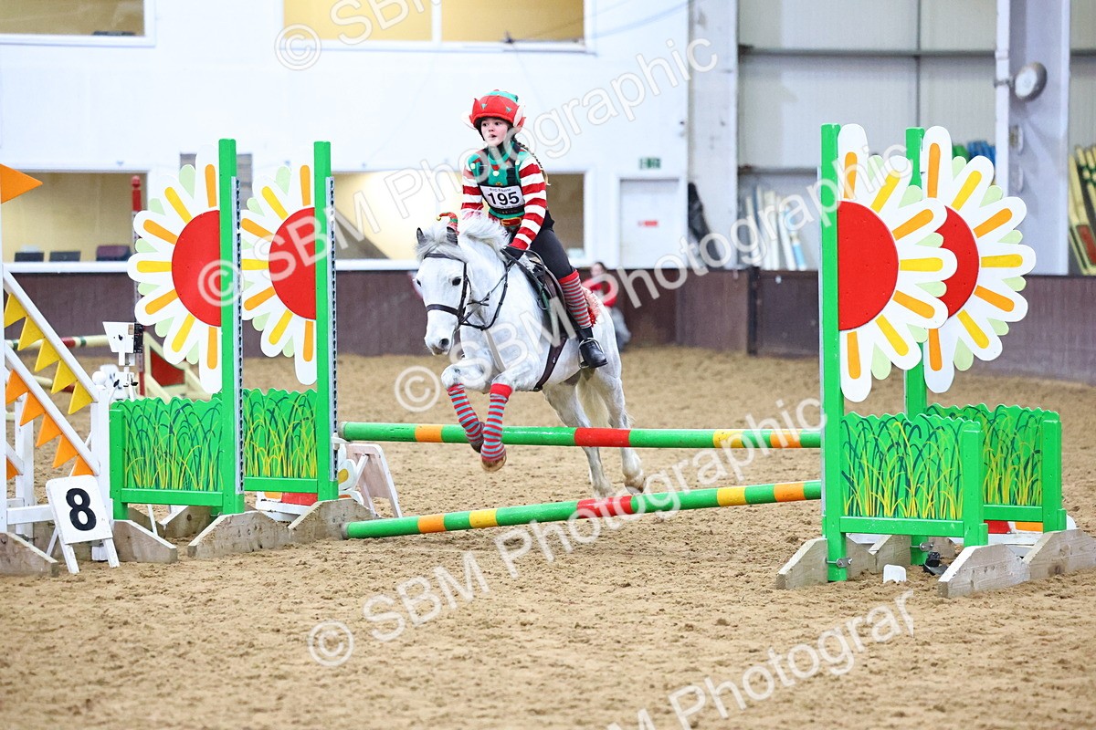 SBM_001347 - Class 3 - Christmas Tree Stakes - 60cm