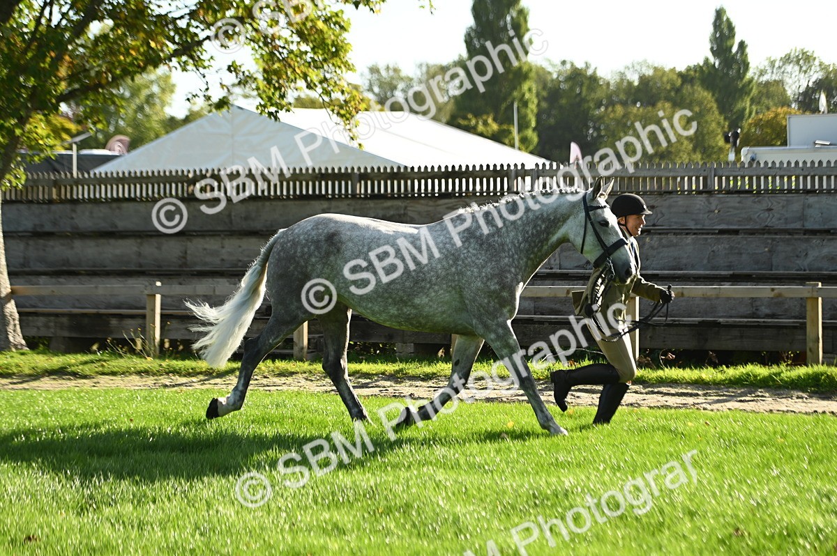 SBM_14706 - S1 - TSR in Hand Horse & Pony Showing