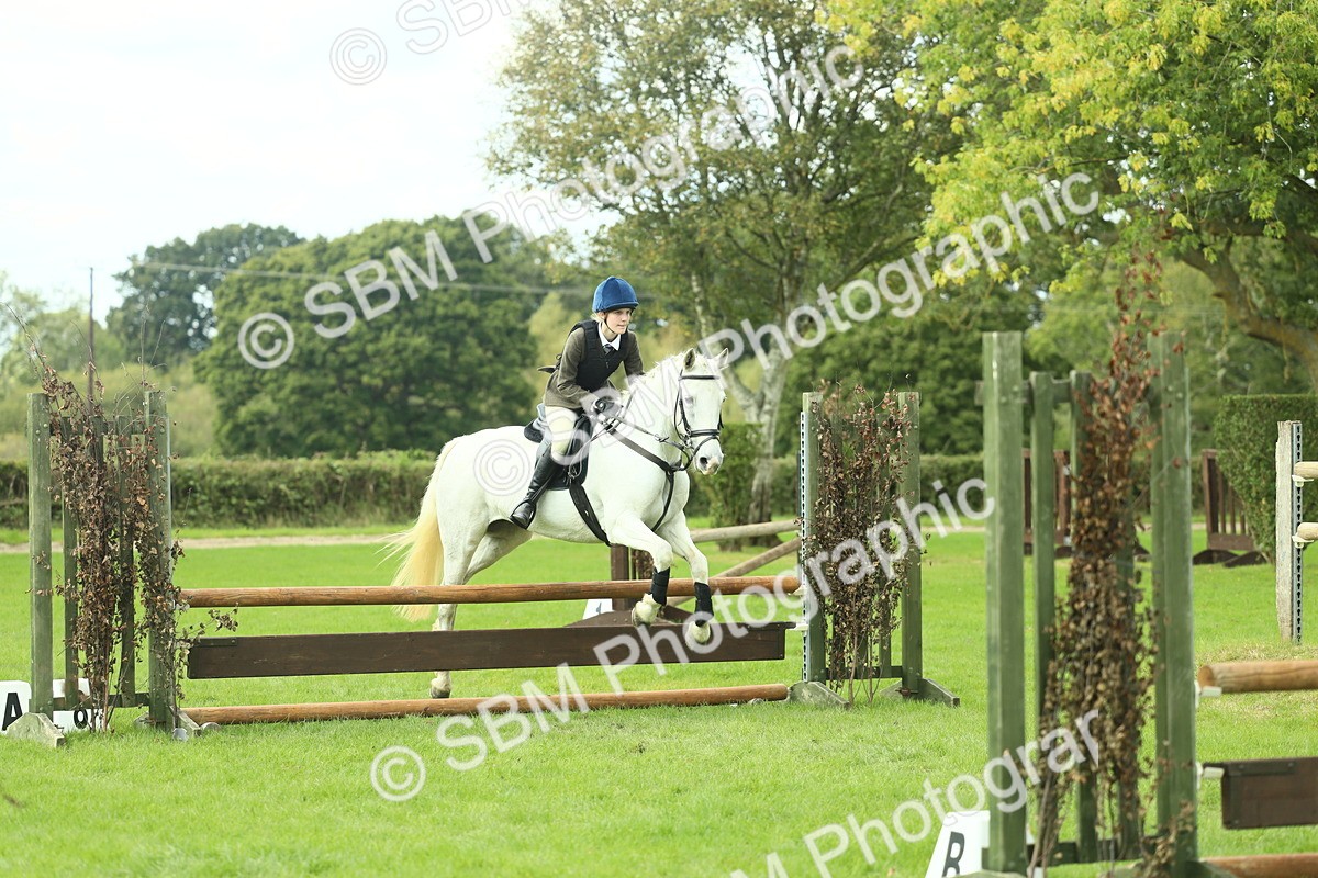 SBM_44730 - S31 - Working Hunter Pony
