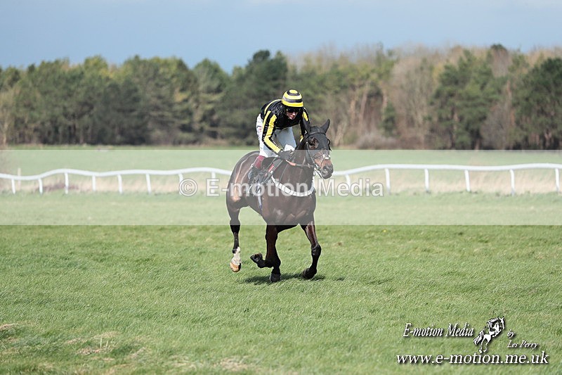PtP 230324 273 - Tedworth Hunt PtP Larkhill Raccourse 23rd March 2024