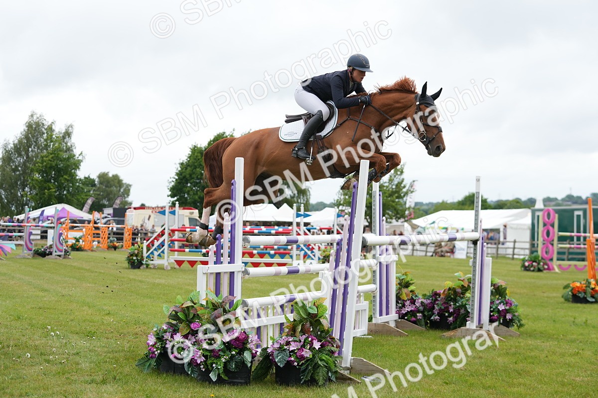 SBM_03226 - Class 201 - British Horse Feeds Speedi Beet Horse of the Year Show Grade  C