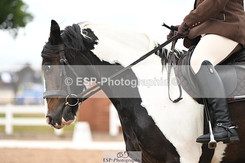 250705-175529-02845 - N1 Section BDNOV1 1350 to 15.28