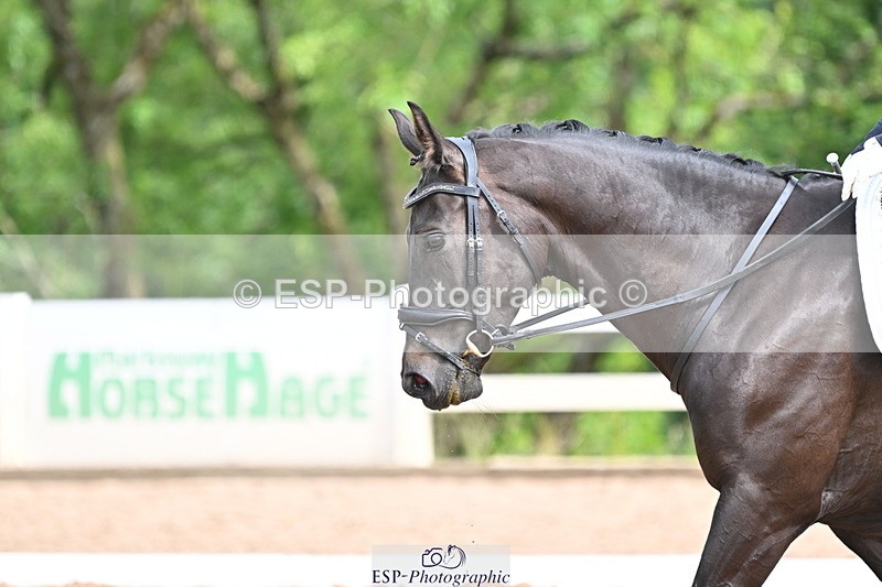 240623A-095201-16352 - Cls 45 BD Prelim 19