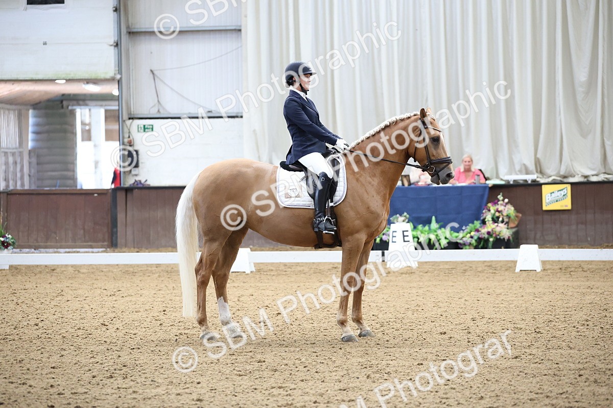 SBM_002063 - Class 5 - Novice 6 Gold - 9.00-10.10