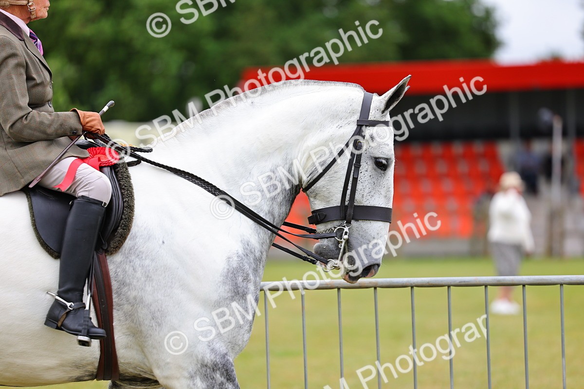 SBM_02585 - Class 9-11 Side Saddle including LIHS Rising Star Ladies Show Horse