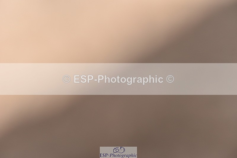 240706A-155536-04047 - Cls 4D Snr Elementary