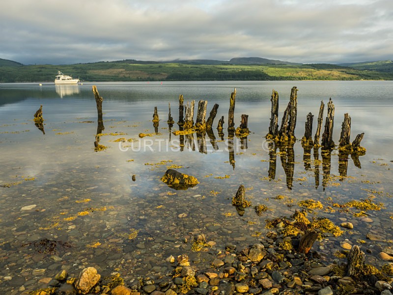 19 - THE SCOTSMAN - READERS GALLERY