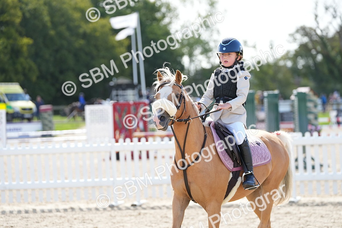 SBM_18171 - J58 - Clear Round 50cm
