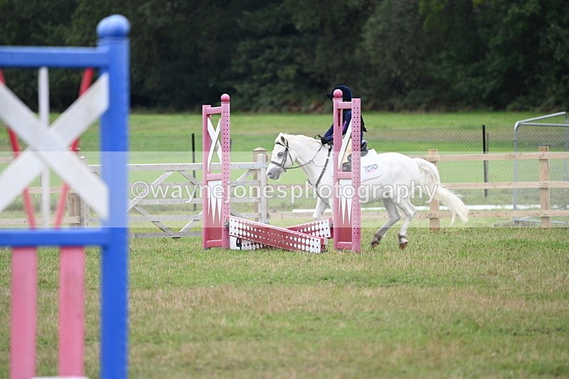 WJ6_0384 - 40cm Time 10:29 to 10:52