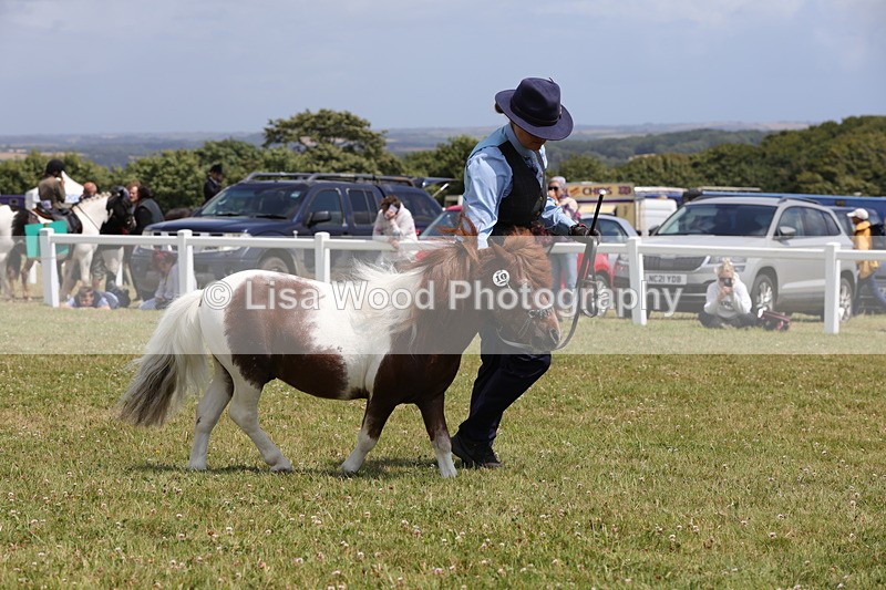 1X9A4836 - Class 35: Veteran In Hand