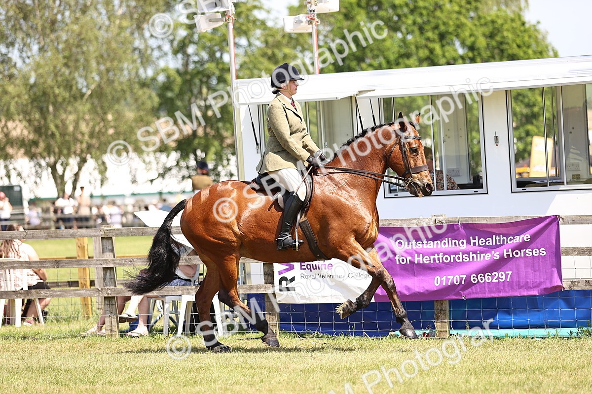 SBM_15063 - Class 79-80 - LIHS BSHA Rising Star Ridden Hunter