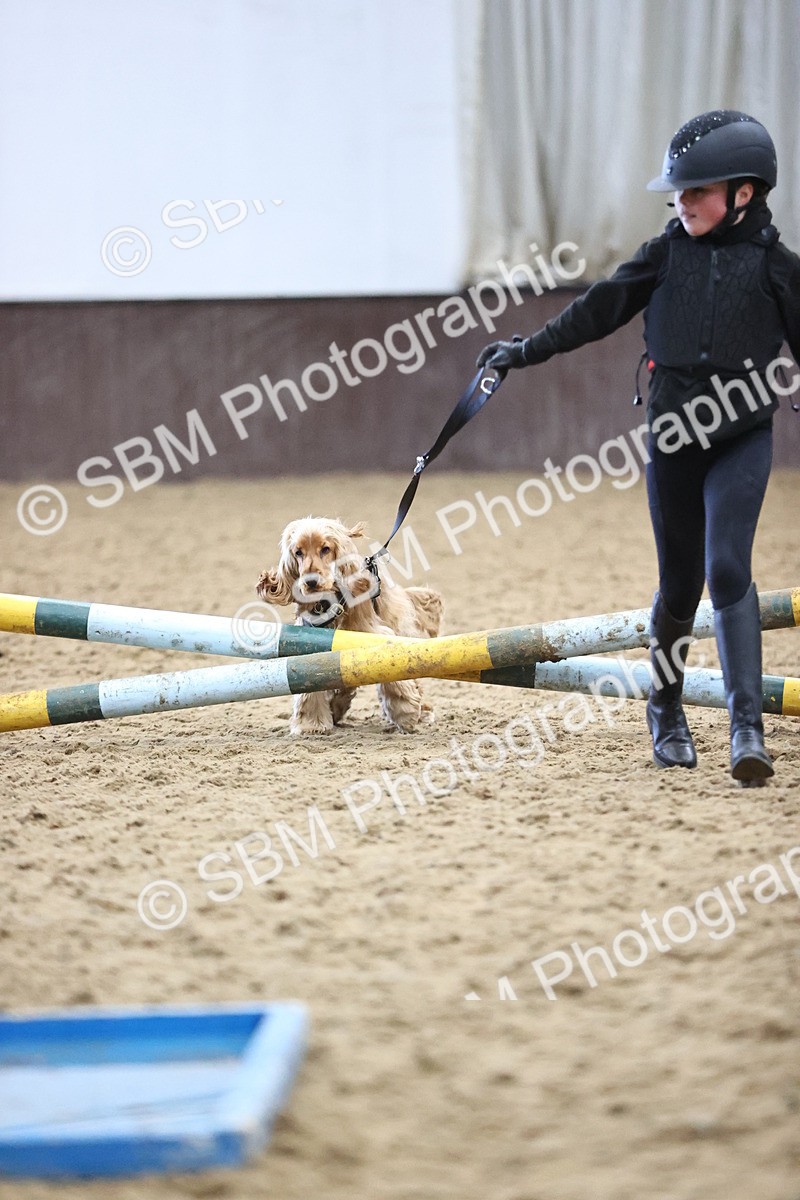 SBM_001411 - Class 3 - Horse & Hound 60cm