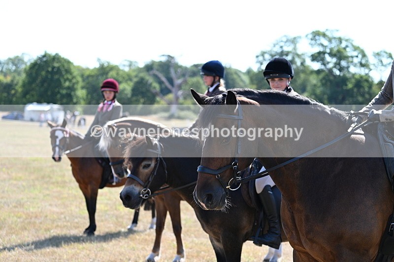 WJ7_3791 - Class 9 Mountain & Moorland Ridden