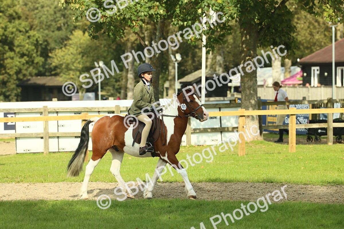 SBM_68926 - S58 - Mini Show Cob Ridden