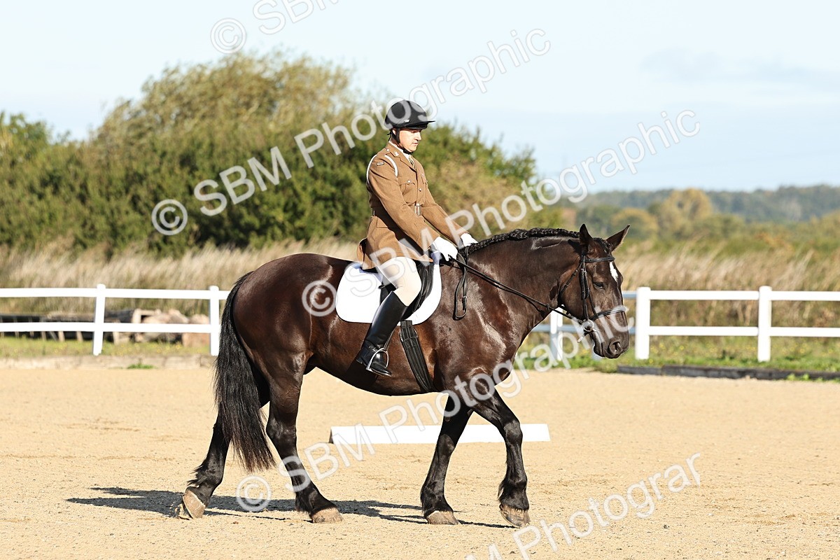 SBM_003086 - Class 66 - Intro 3