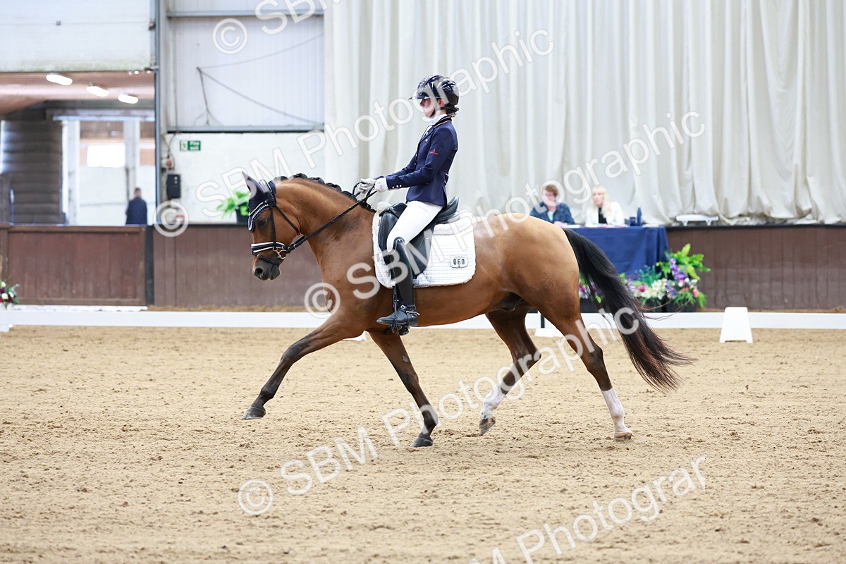 SBM_017274 - Class15 - FEI Pony