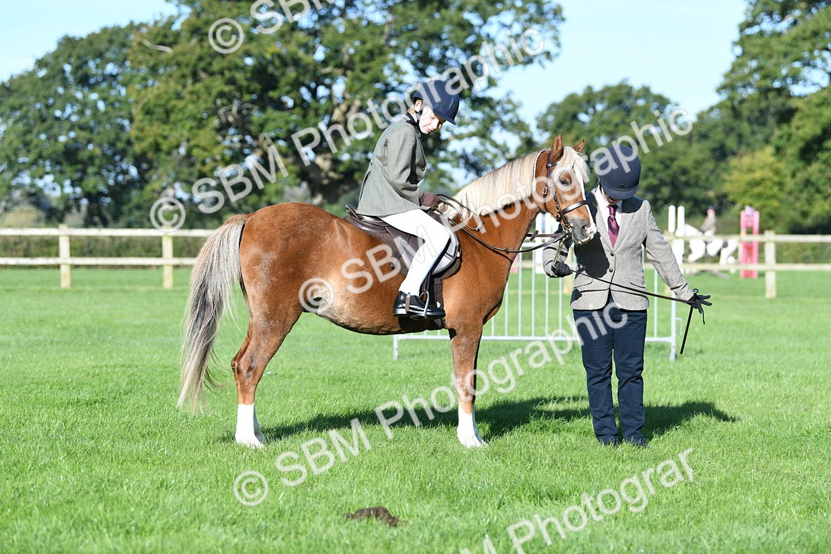SBM_35361 - S17 - Condition & Turnout - Lead Rein
