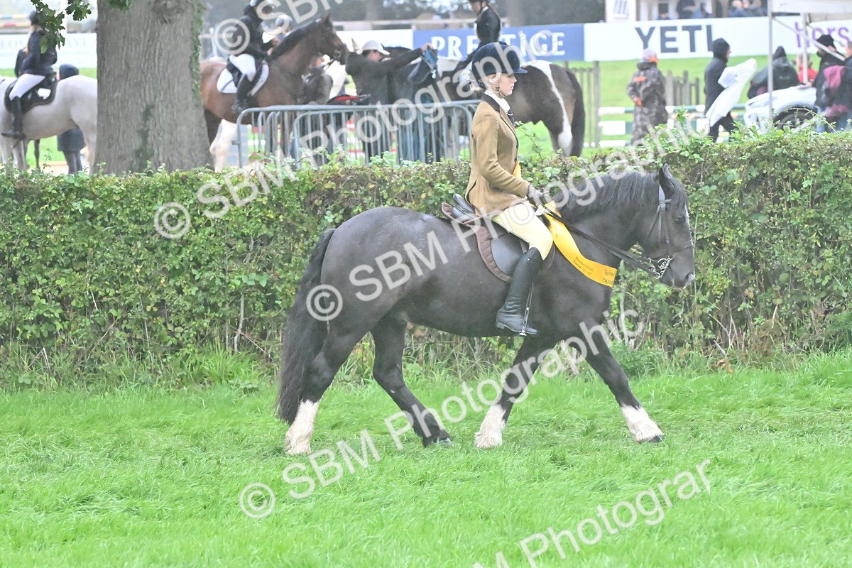 SBM_72173 - Equitation Supreme Championship