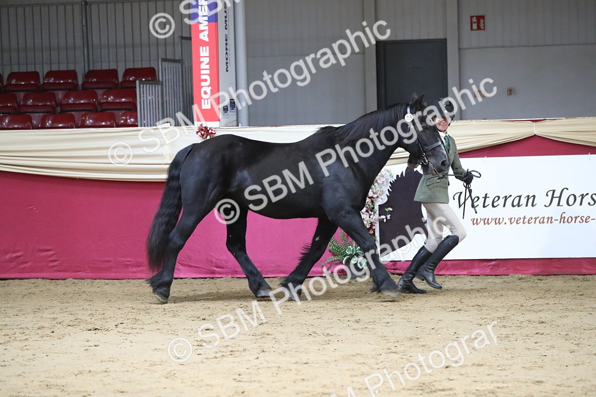 SBM_04968 - Class 8R- Regional -IH Veteran
