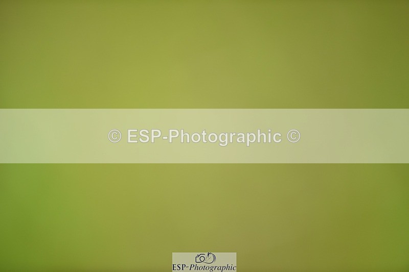 240523B-111102-01897 - 5 Year Old