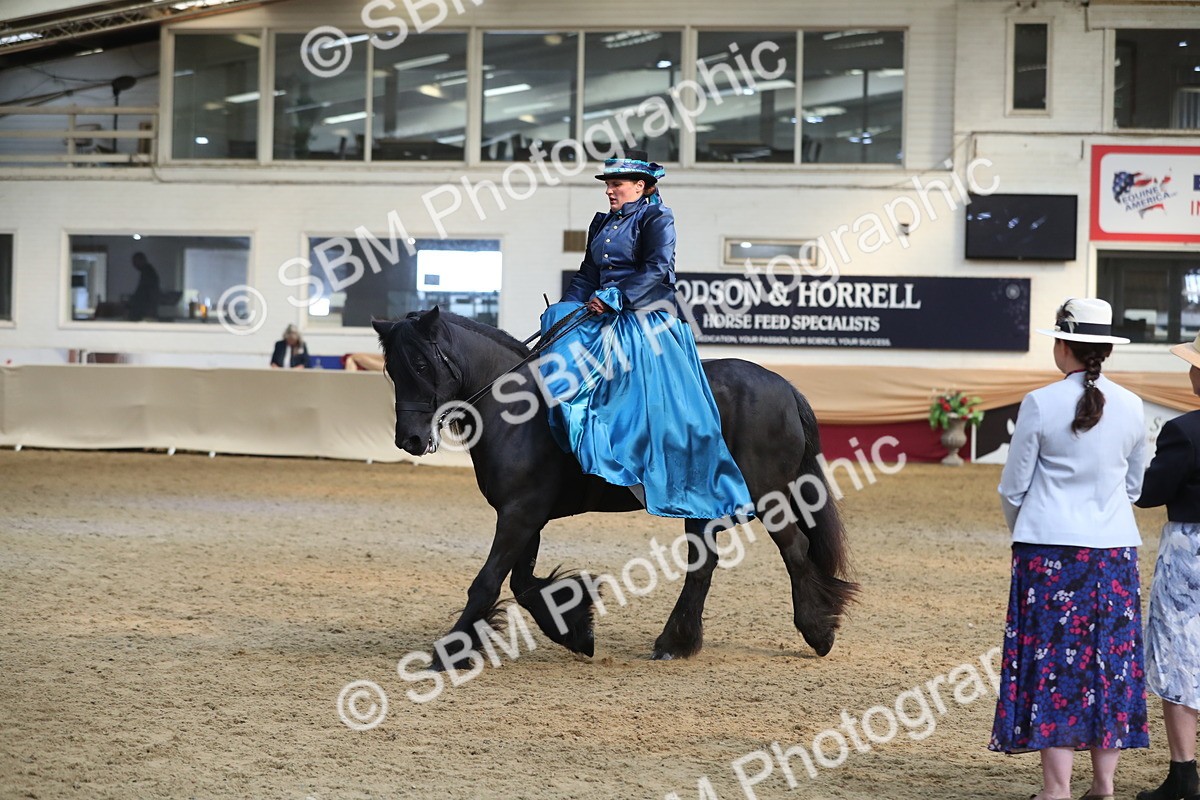 SBM_11569 - Class 105 Ridden Costume- Side Saddle