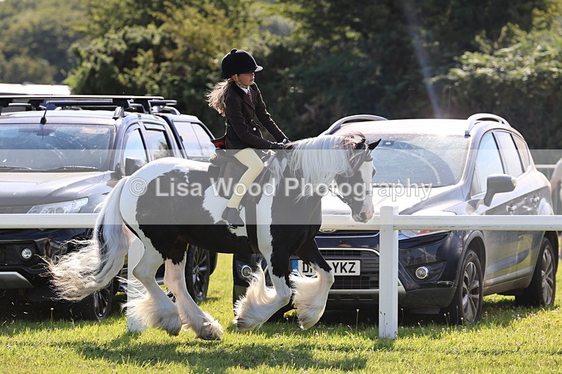 IMG_1542 - Class 30: Ridden Native/Trad Coloured Pony
