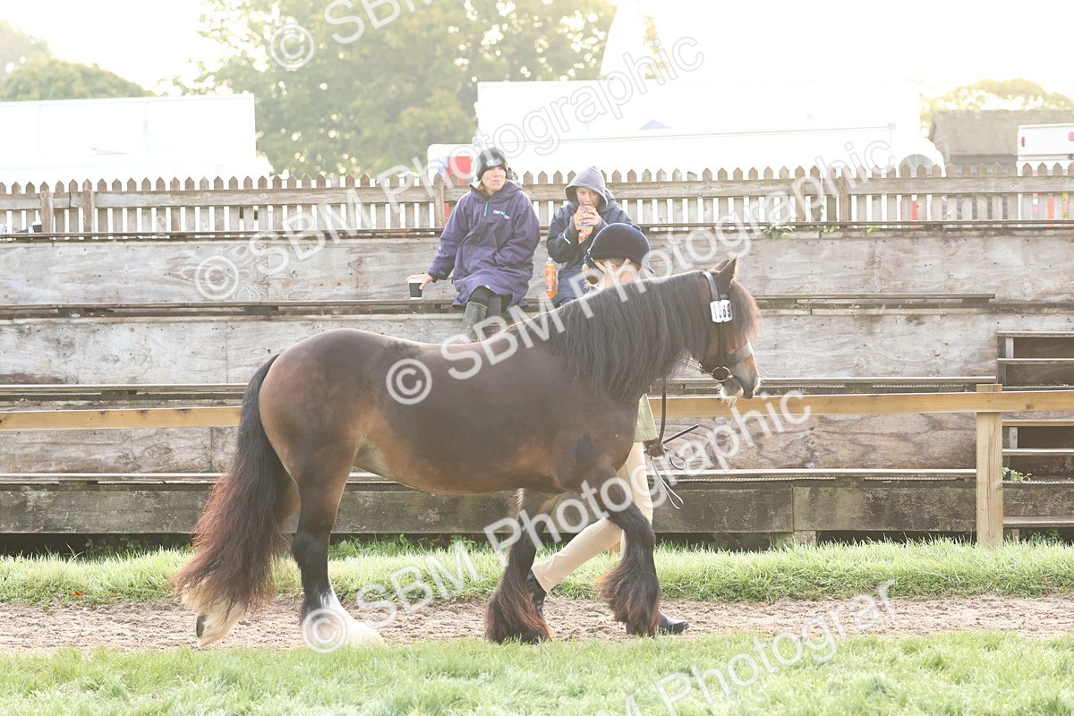 SBM_54474 - S38 - Starters Best Turnout