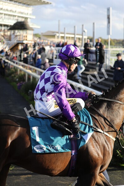 yr07102022r6-7 - Race 6 5.00pm William Hill Lengthen Your Odds EBF Novice Stakes