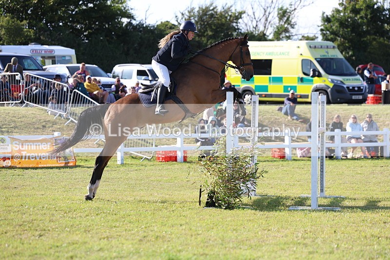 3E7A4354 - Class C: Showjumping Senior Foxhunter