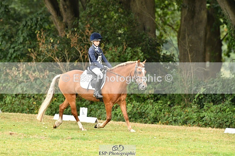 250820A-124232-05645 - 12 to 13.00