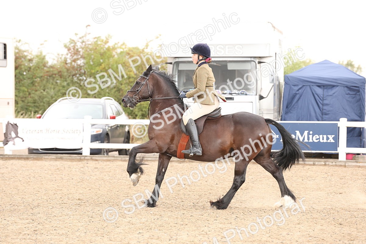 SBM_07552 - Class 59b -  Style & Performance - 80cm (20+)