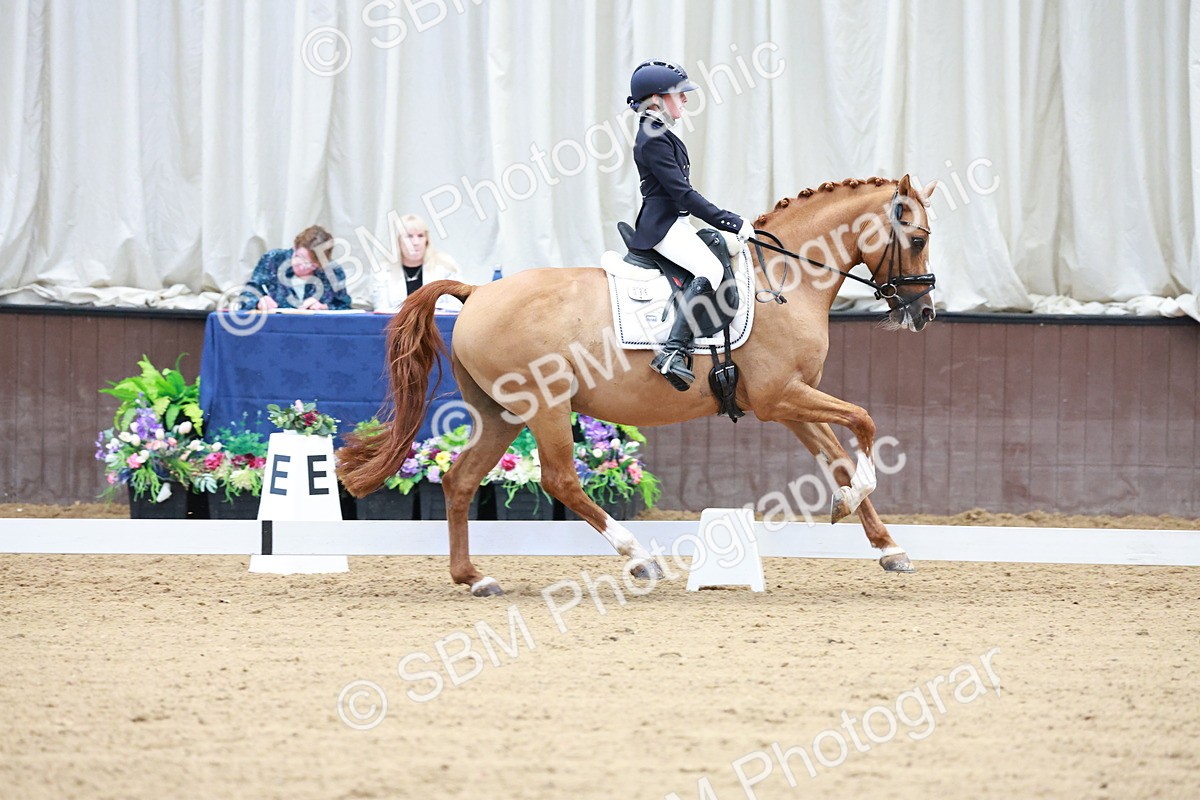 SBM_017084 - Class15 - FEI Pony