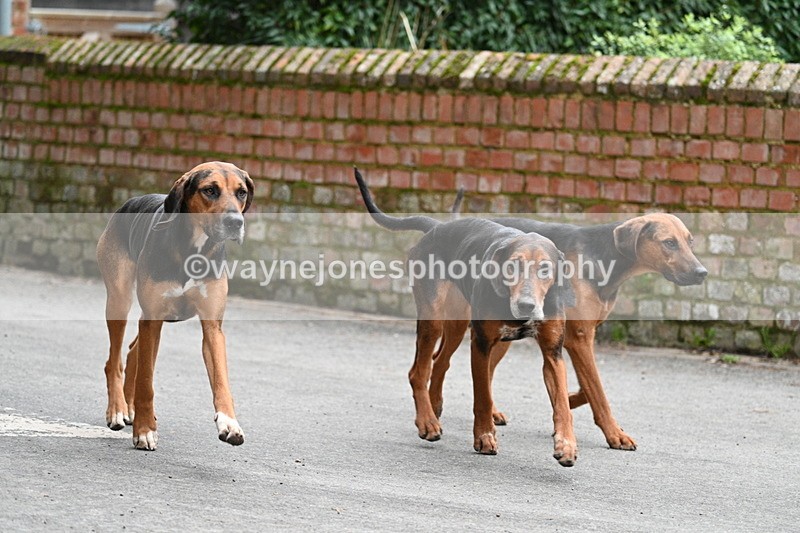 WJ7_1039 - Pub Corner