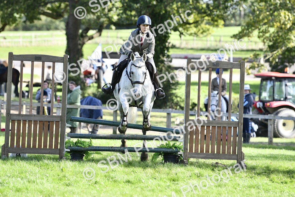 SBM_50019 - S34 - Novice & Newcomers Working Hunter