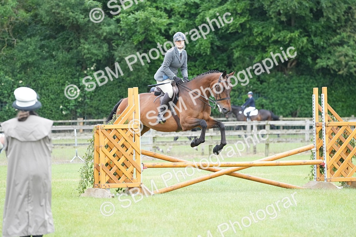 SBM_12618 - Class 97-98 - LIHS BSHA Rising Star Working Show Horse Hunter
