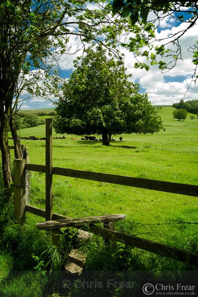 Country Stile - Traditional Landscapes