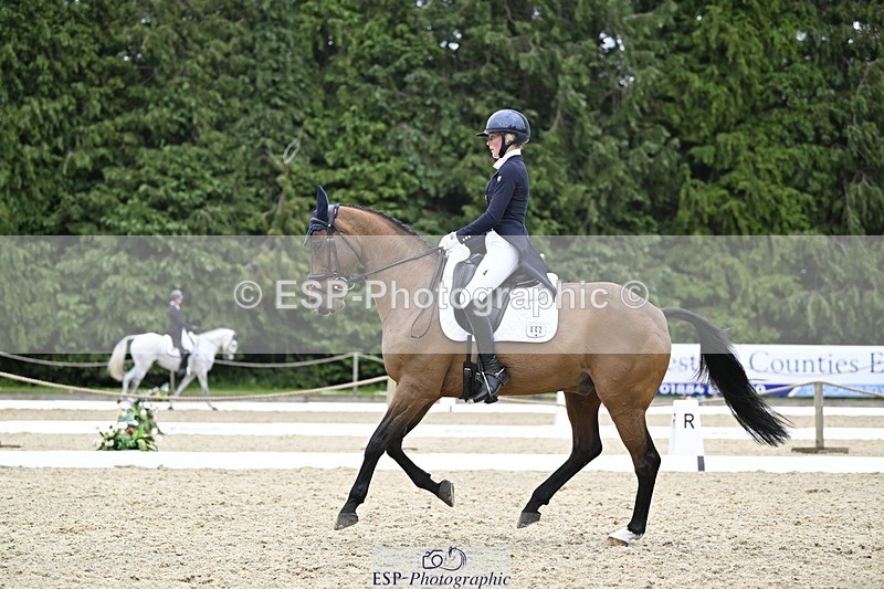 240523-145200-05119 - 442-FERNHILL_ZORO-Cassie_Sanger