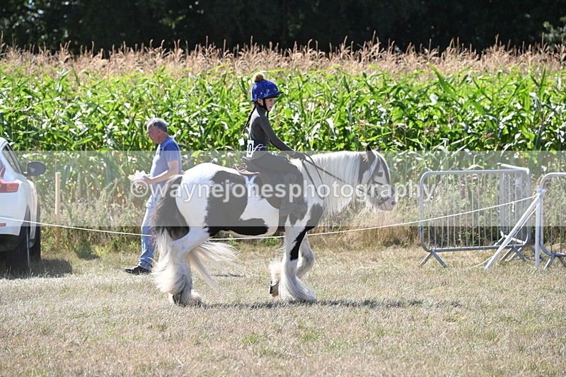 WJ6_8953 - Class 38 Ridden Riding Horse/Pony
