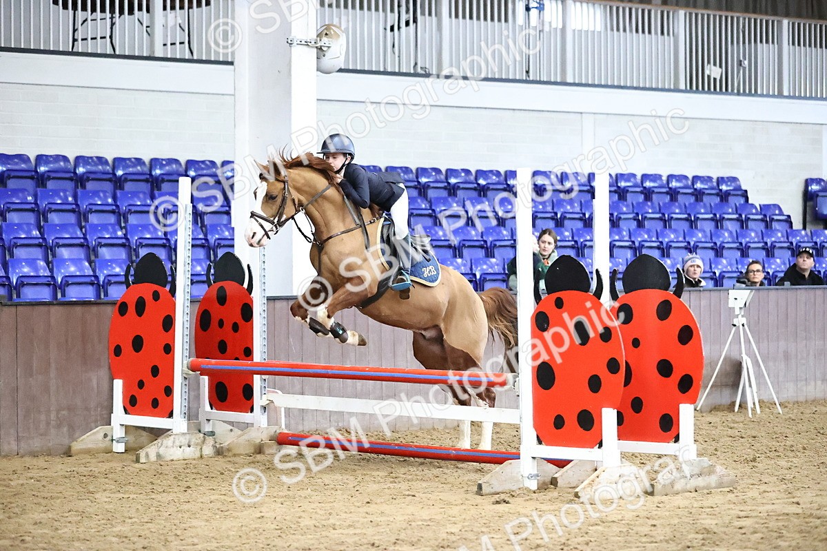 SBM_001297 - Class 9 - Pony British Novice 80cm
